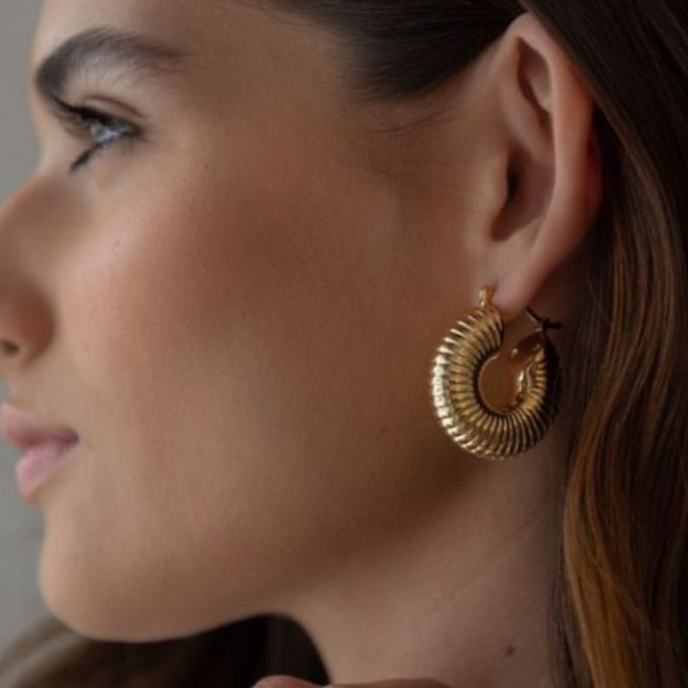 Elegant Gold Hoop Earrings